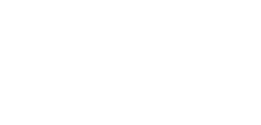 Blue Wave Chartering Logo White